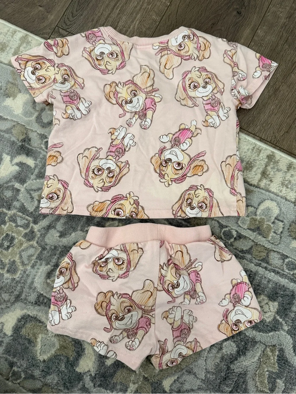 Paw Patrol light pink Skye matching set - 2T